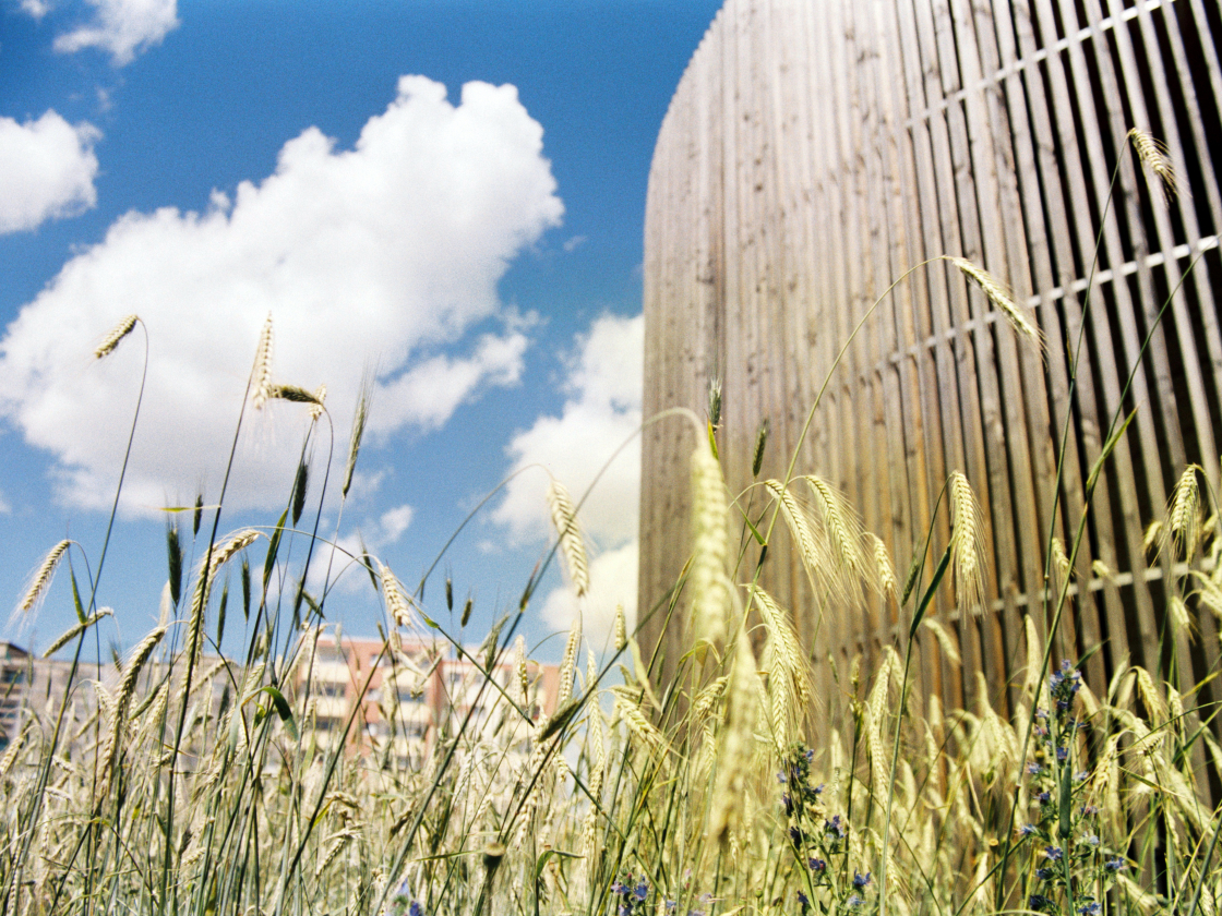 Die Kapelle der Versöhnung und das Roggenfeld