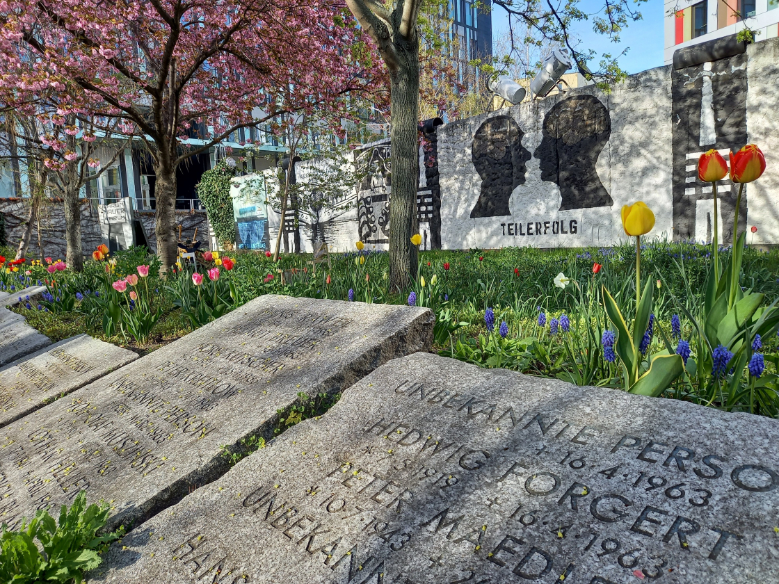 Blick ins Parlament der Bäume