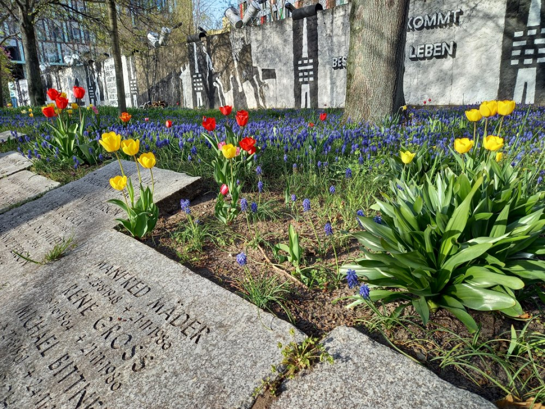 Gedenksteine vor einer Blumenwiese am Parlament der Bäume