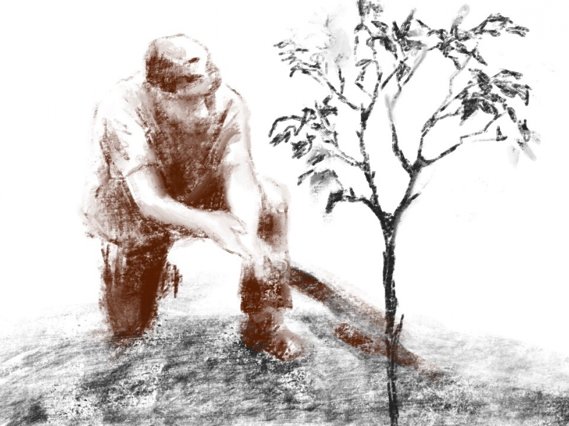 Animierte Person, die einen kleinen Baum anschaut