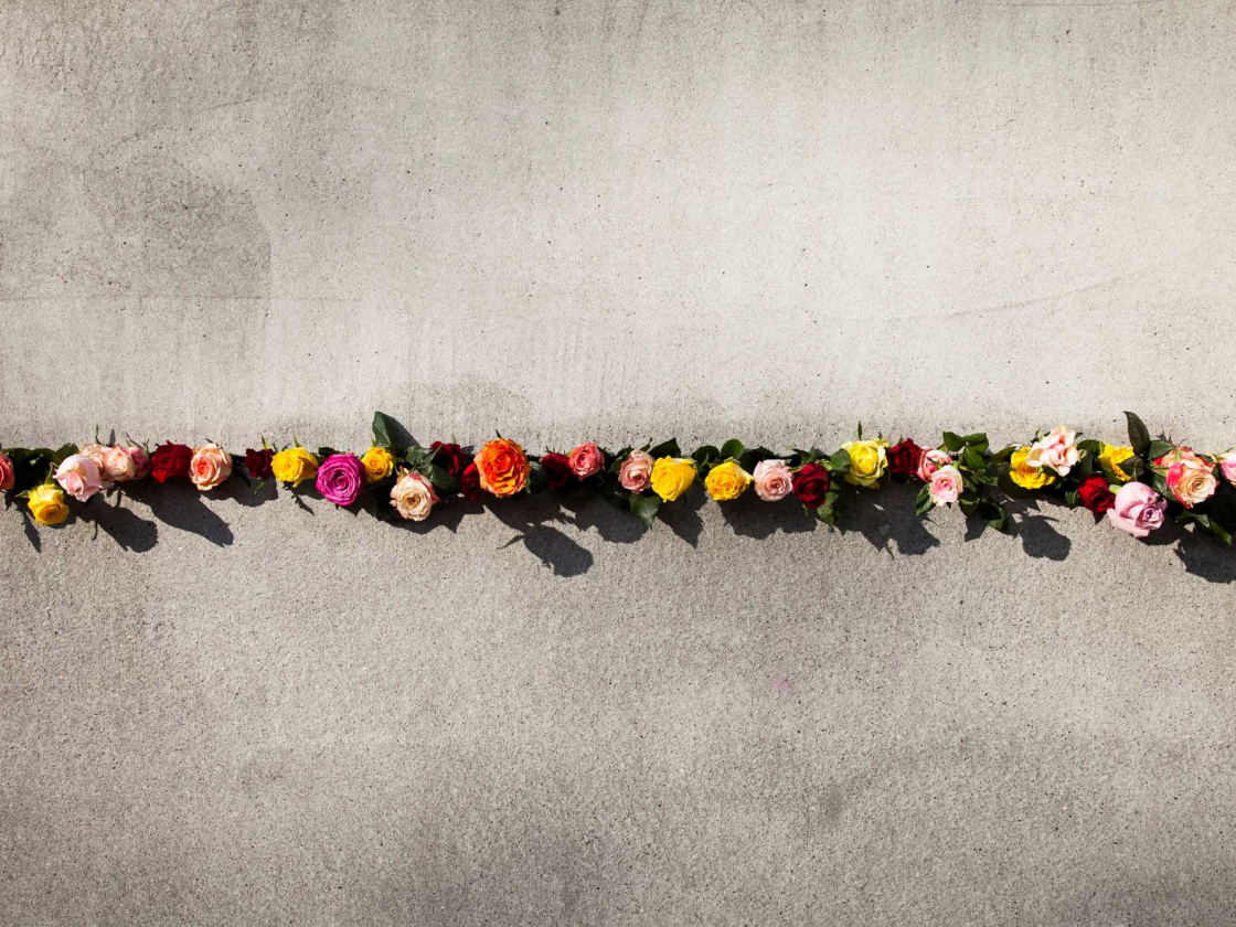 Rosen in der Hinterlandmauer